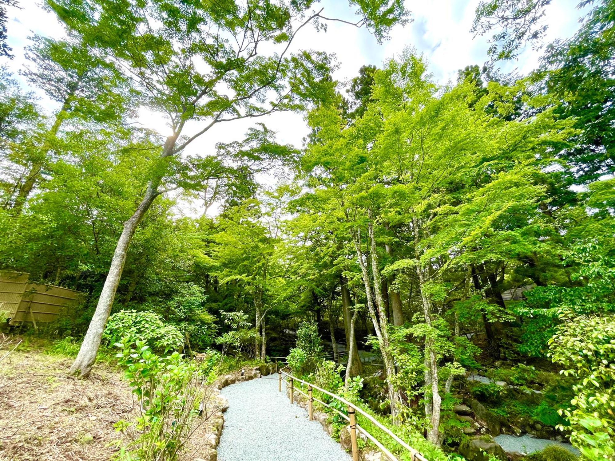 Hakone Kowakien Hotel Eksteriør billede