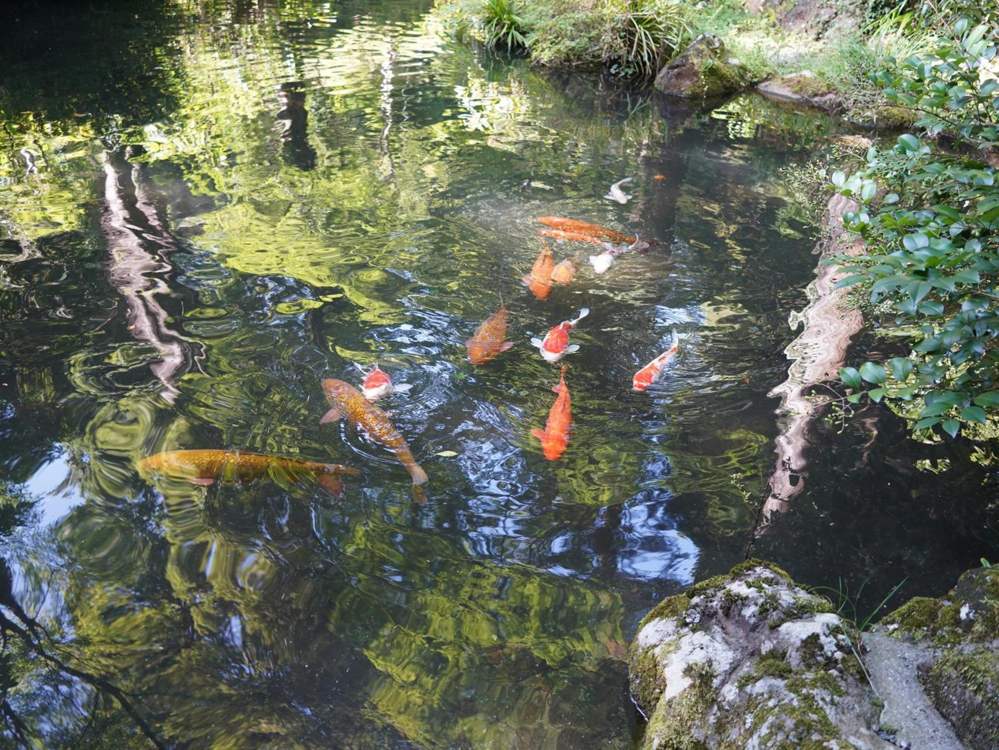 Hakone Kowakien Hotel Eksteriør billede