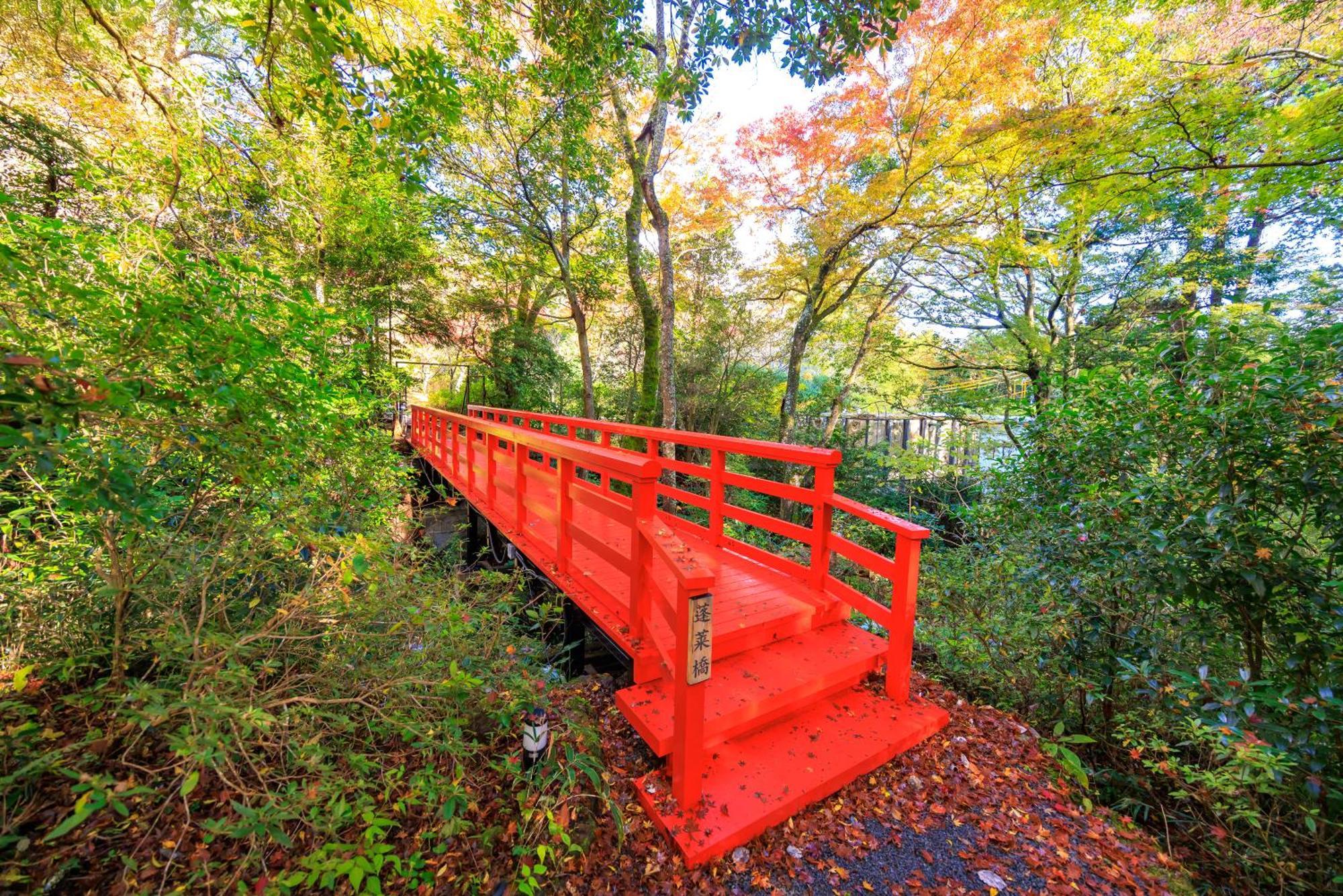 Hakone Kowakien Hotel Eksteriør billede