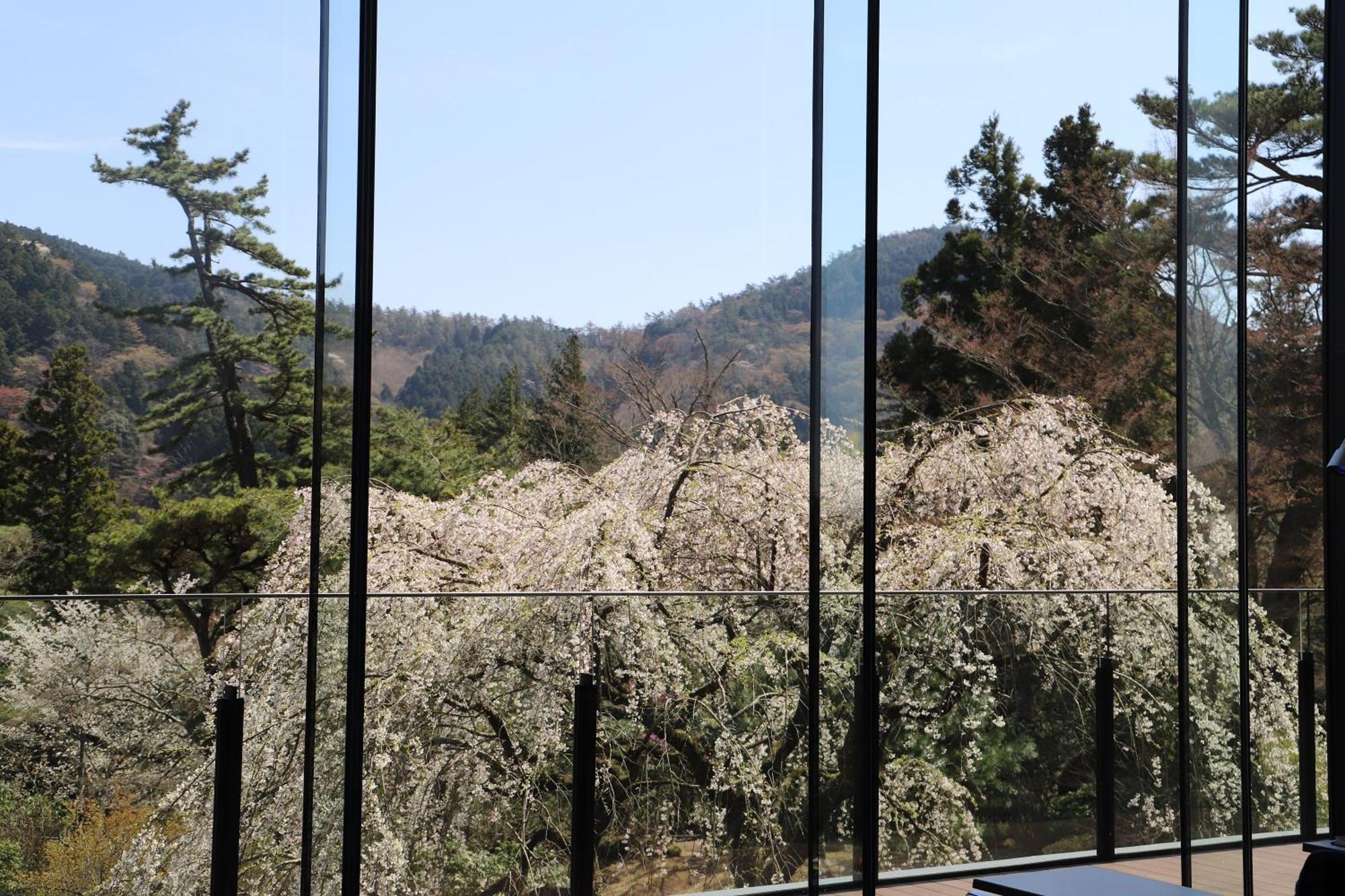 Hakone Kowakien Hotel Eksteriør billede