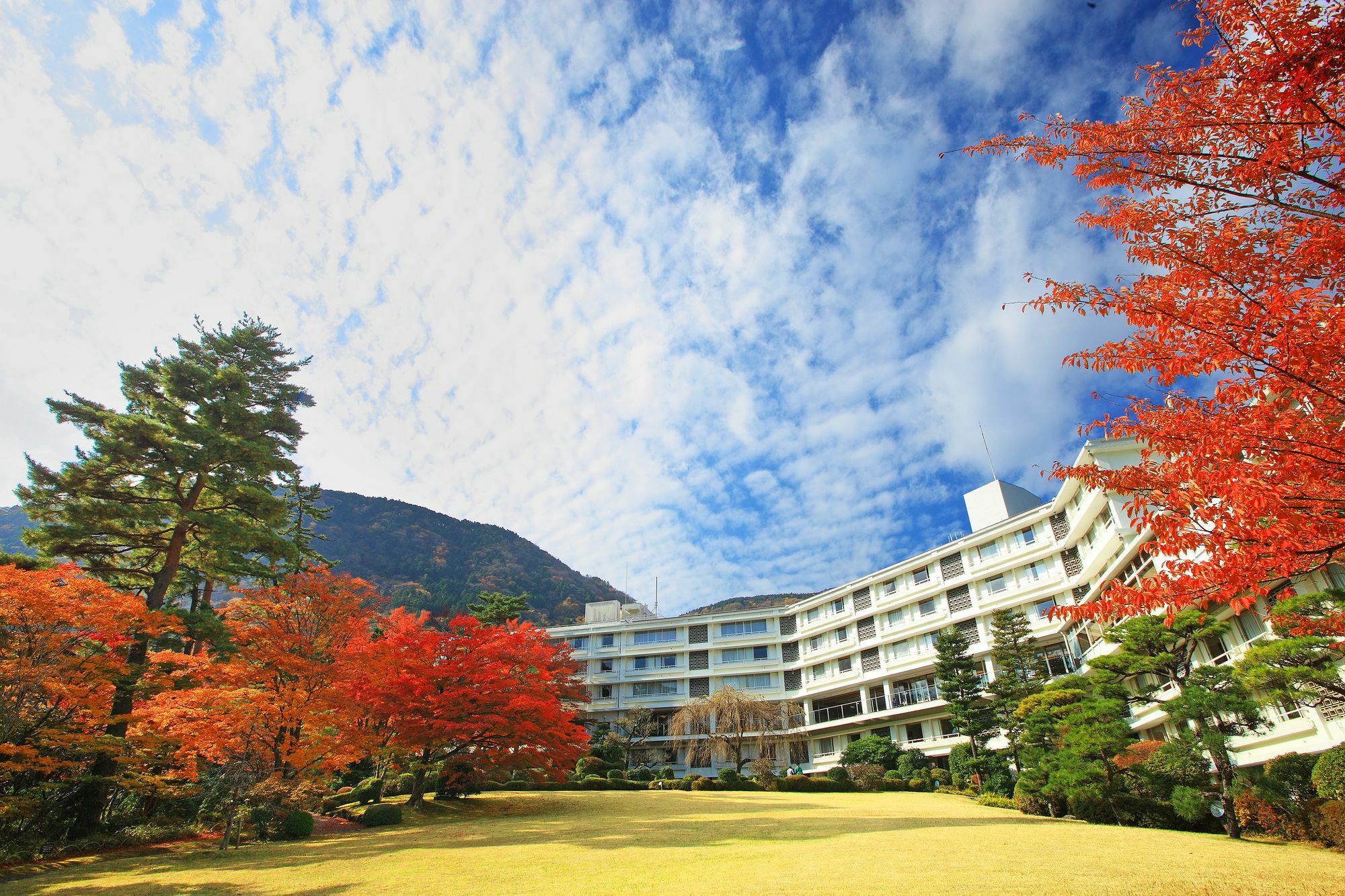 Hakone Kowakien Hotel Eksteriør billede